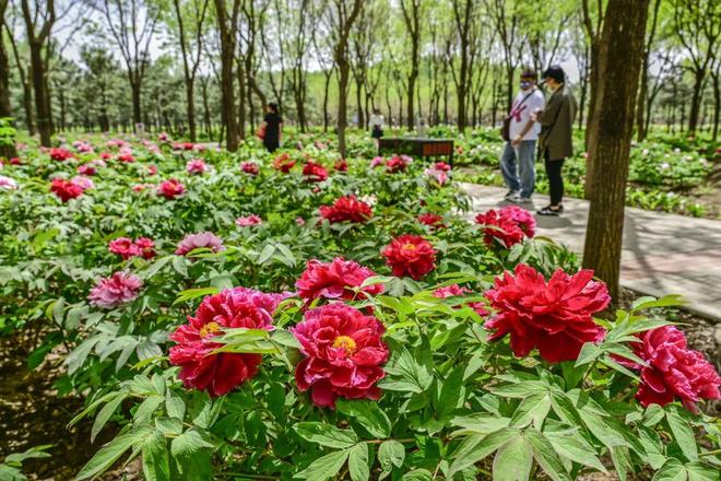 三大+书市+特色小镇打卡文旅新地标OG真人120小时玩转副中心-2：(图10)